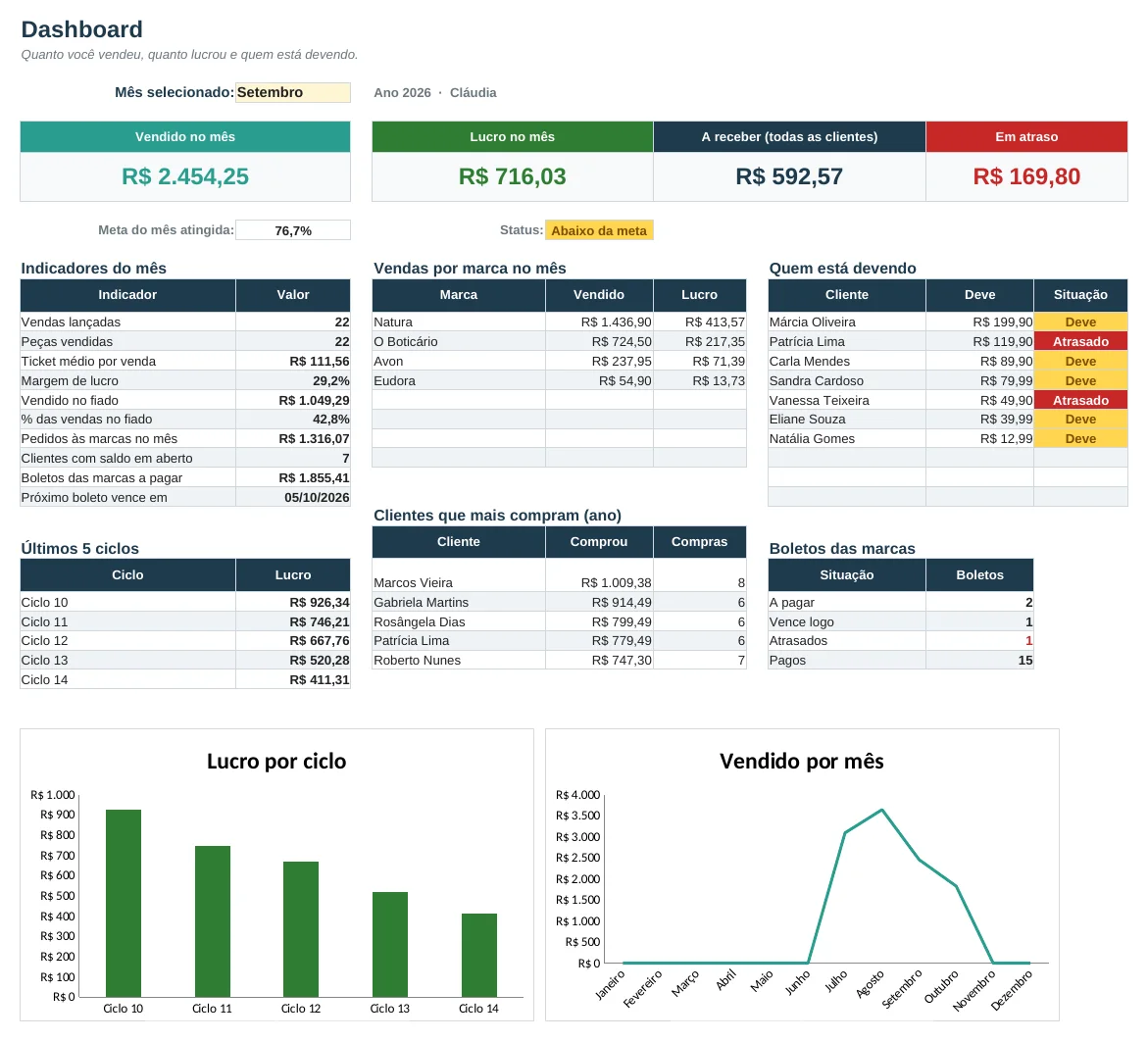 Dashboard da Planilha para Revendedora